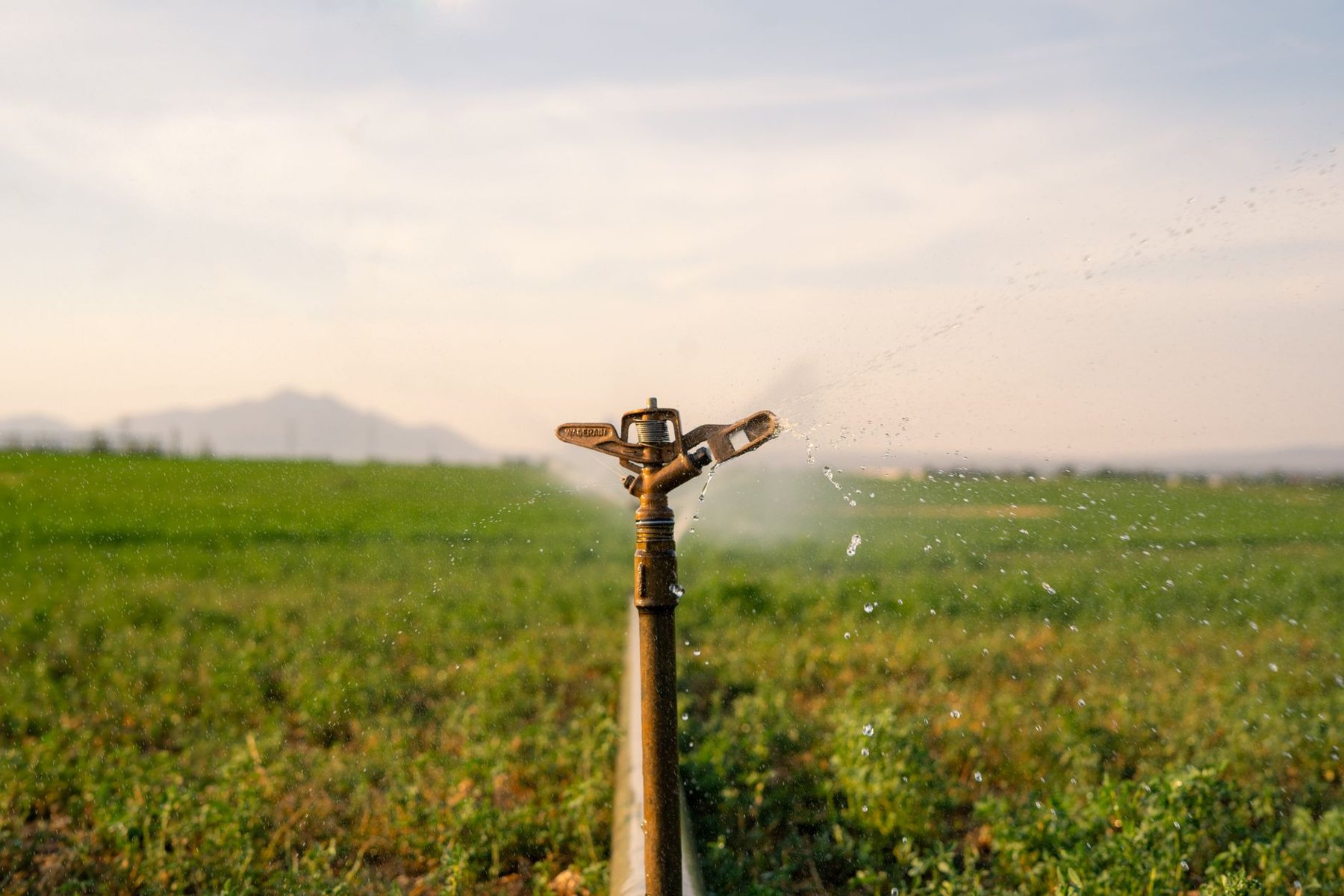 Irrigation & Drip Systems in Laveen AZ