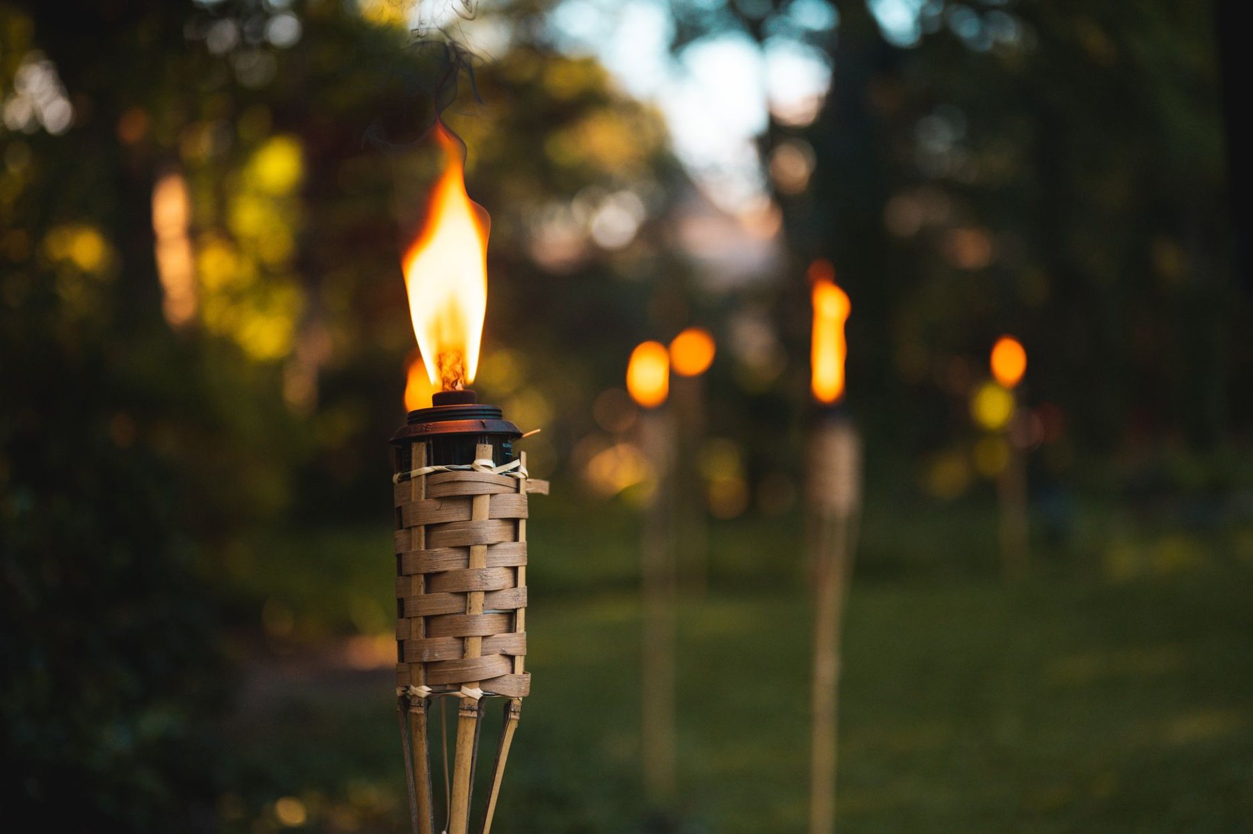 Landscape lighting at dusk in Laveen, AZ